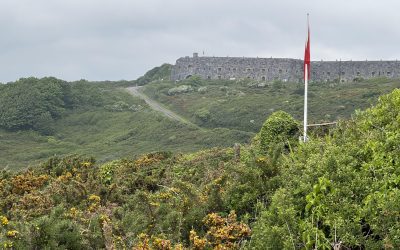 Control those emotions