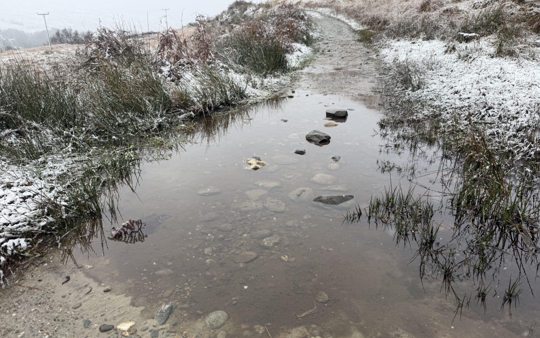 Just walk straight through