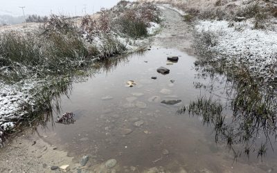 Just walk straight through