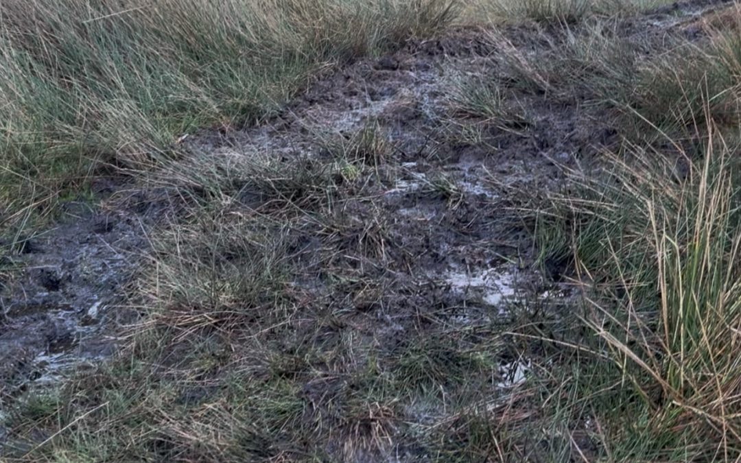 Getting better at the pole vault