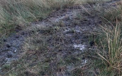 Getting better at the pole vault