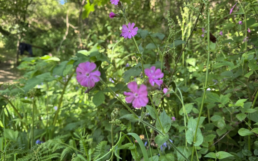 Backwards is ok as well